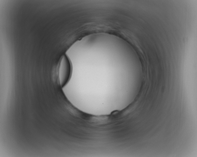 X0000114400480200910231113