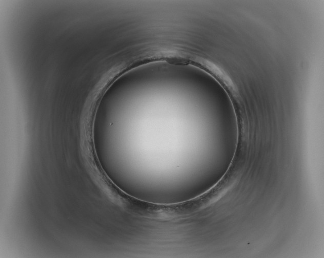 X0000114400481200910231112