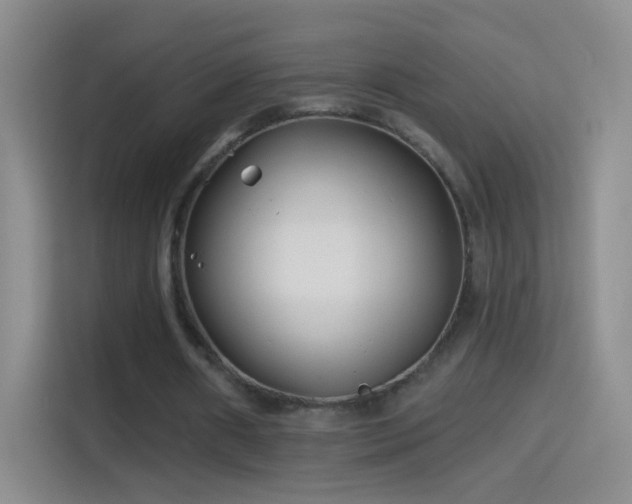 X0000114400482200910231112