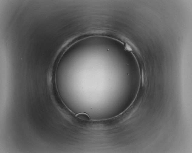 X0000114400483200910231112