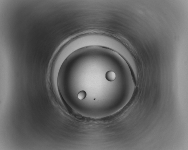 X0000114400484200910231112