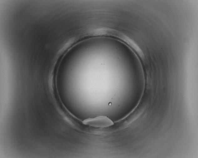 X0000114400485200910231112