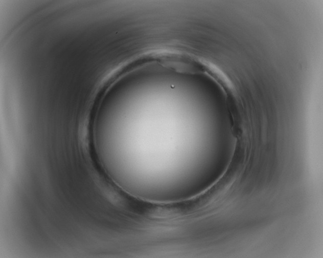 X0000114400487200910231112