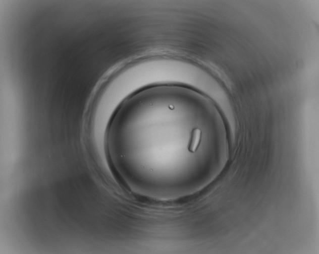 X0000114400488200910231112