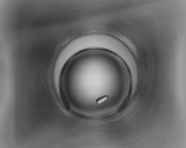 X0000114400489200910231112