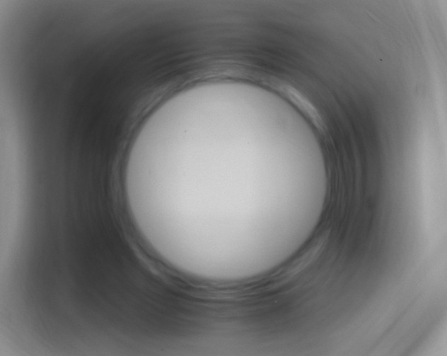 X0000114400493200910231112