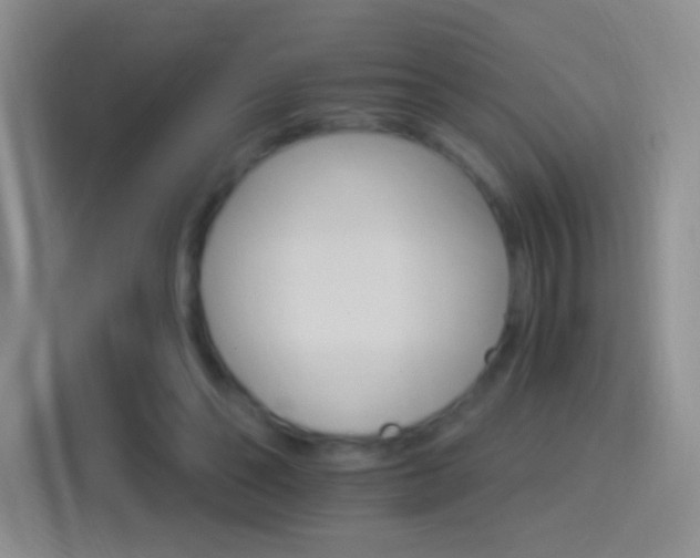 X0000114400494200910231112