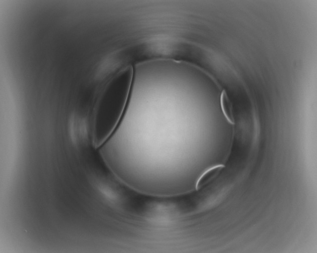 X0000114400500200910231112