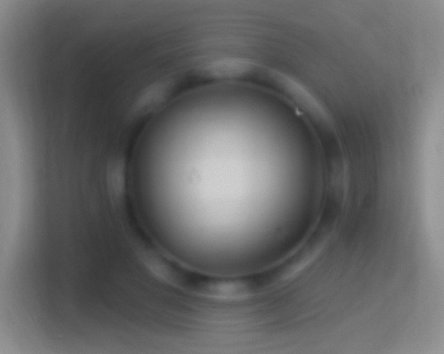 X0000114400501200910231112