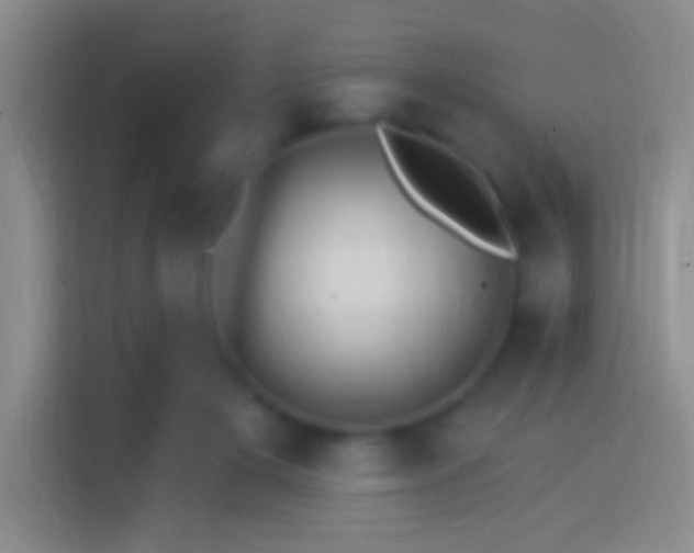 X0000114400505200910231112