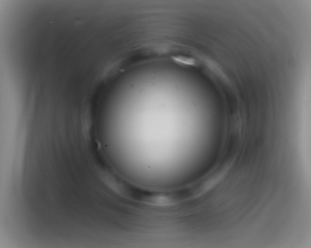 X0000114400509200910231112