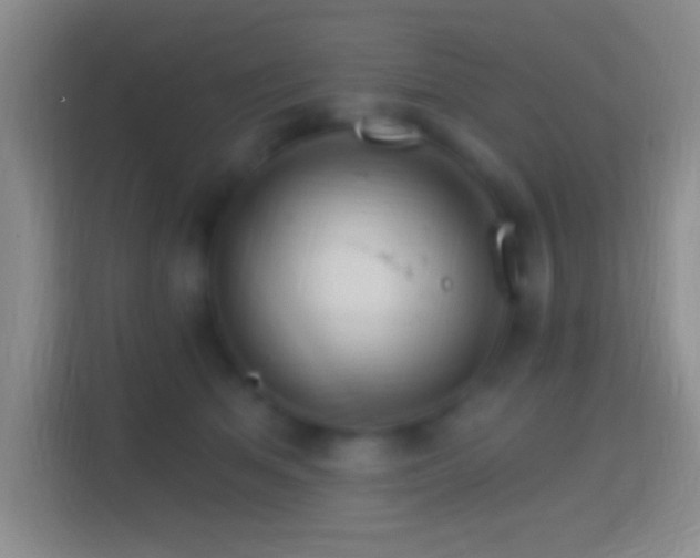 X0000114400513200910231112