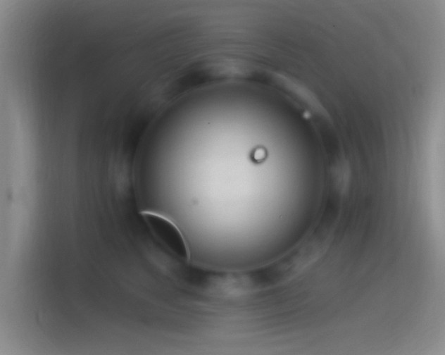 X0000114400517200910231112