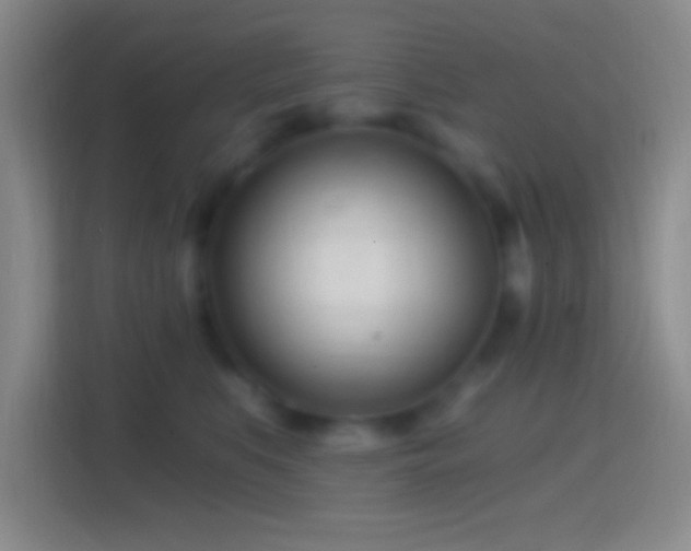 X0000114400519200910231112