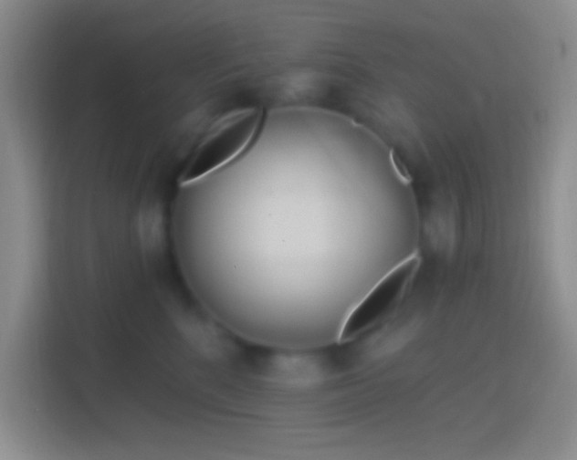 X0000114400520200910231112