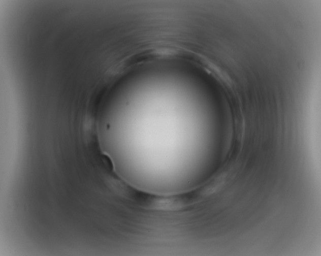 X0000114400521200910231112