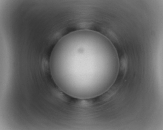 X0000114400522200910231112