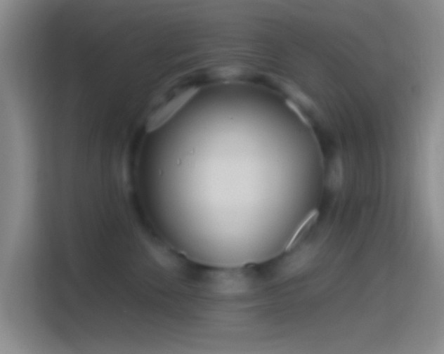 X0000114400524200910231112