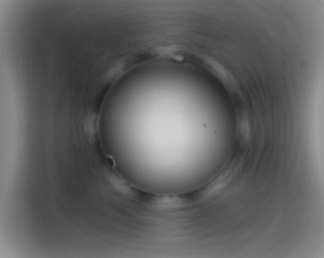 X0000114400525200910231112