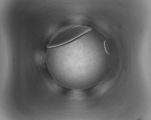 X0000114400528200910231112