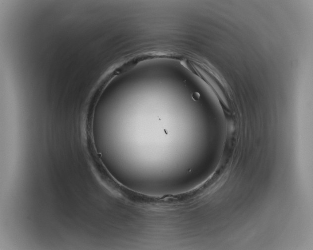 X0000114400530200910231111