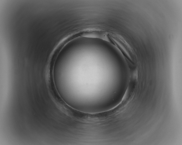 X0000114400531200910231111