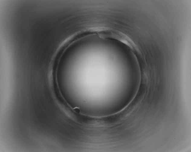 X0000114400535200910231111