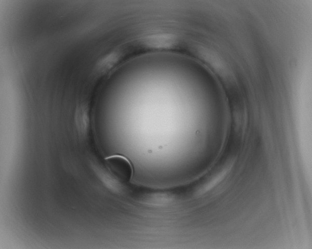 X0000114400541200910231111