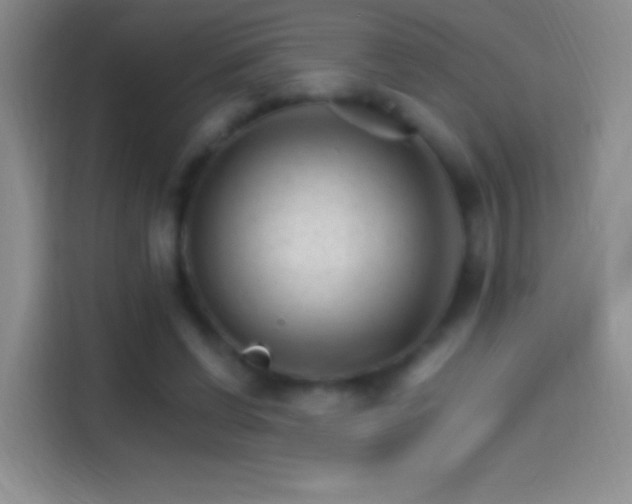 X0000114400542200910231111