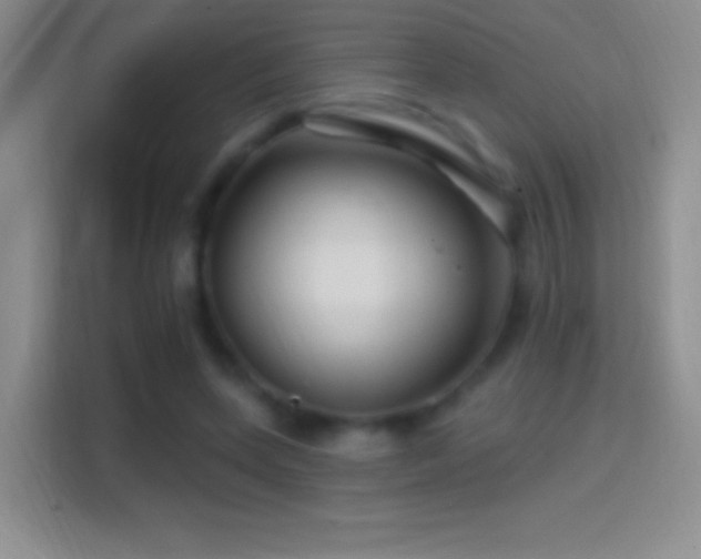 X0000114400543200910231111