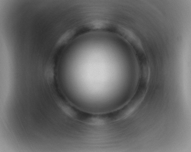 X0000114400545200910231111