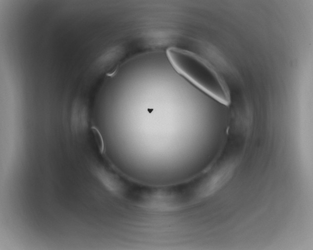 X0000114400546200910231111