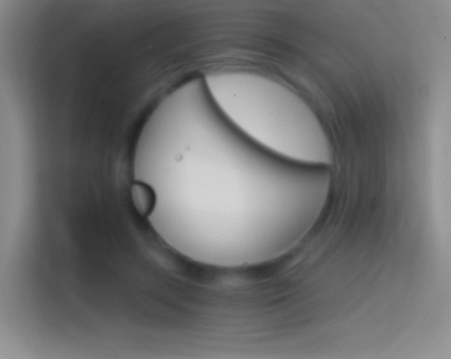 X0000114400547200910231111