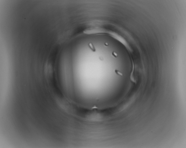 X0000114400551200910231111