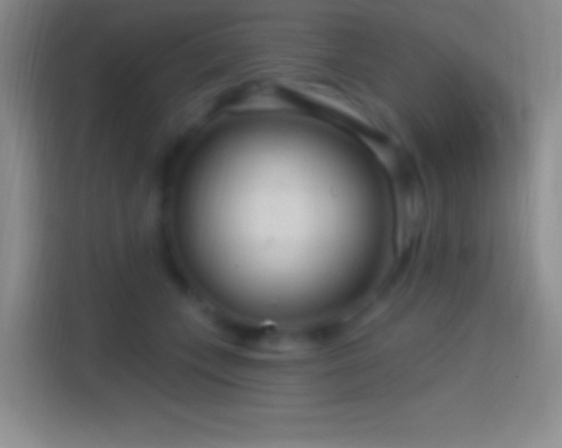 X0000114400559200910231112