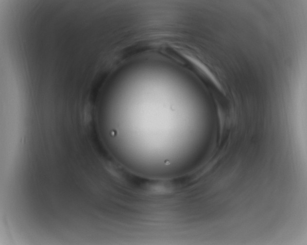 X0000114400567200910231112