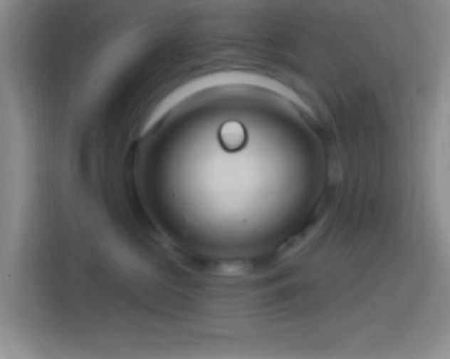 X0000114400573200910231112