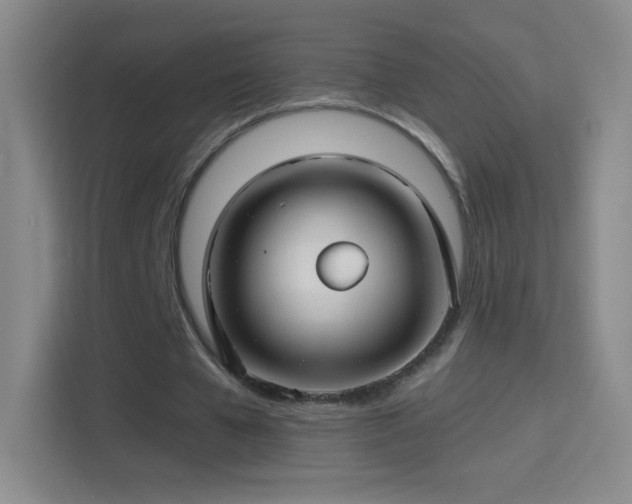 X0000114400577200910231111