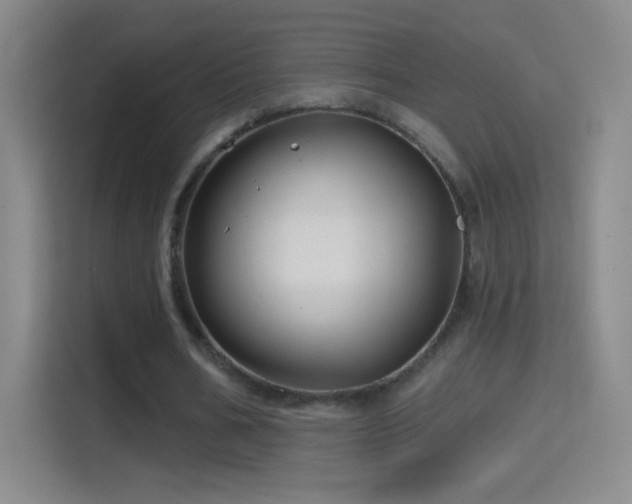 X0000114400578200910231111