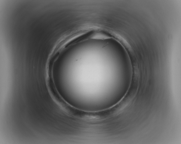 X0000114400582200910231111