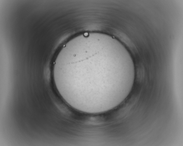 X0000114400584200910231111