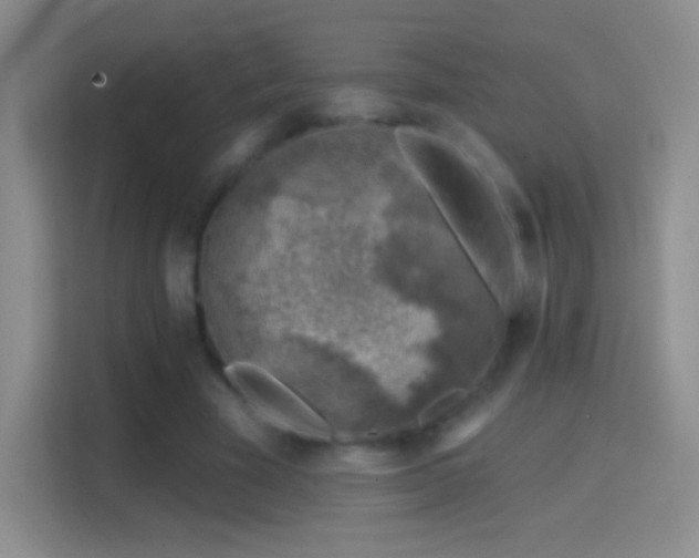 X0000114400585200910231111