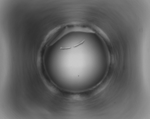 X0000114400588200910231111