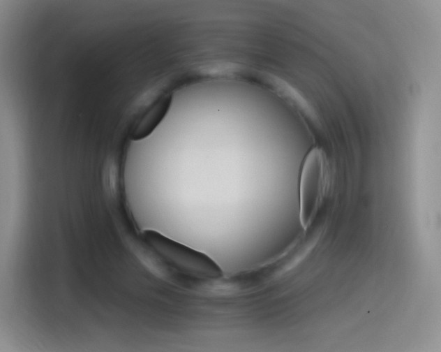 X0000114400589200910231111