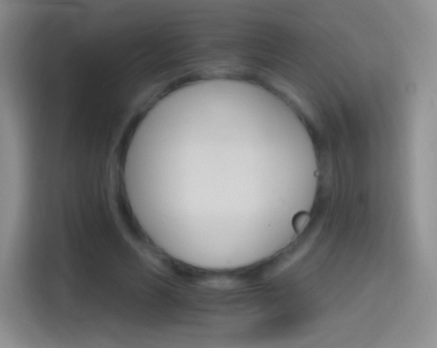 X0000114400590200910231111