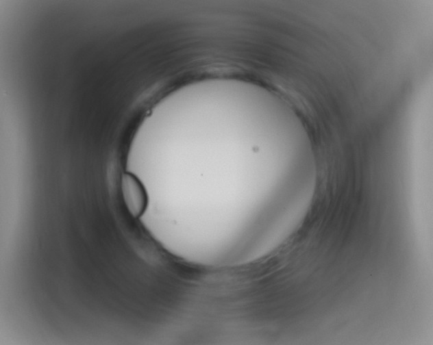 X0000114400591200910231111