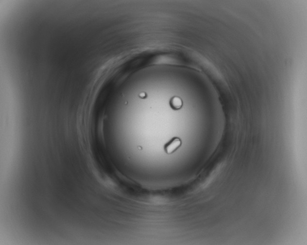 X0000114400592200910231111