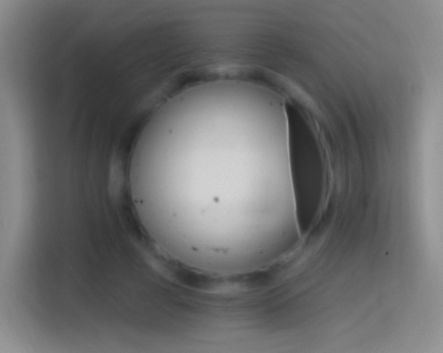 X0000114400593200910231111