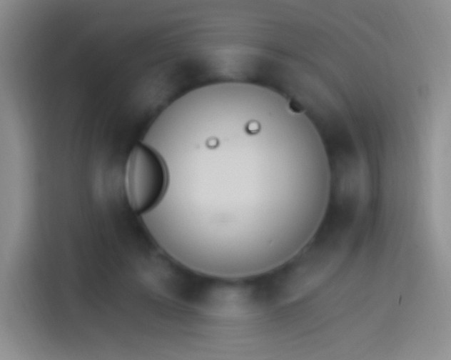 X0000114400595200910231111