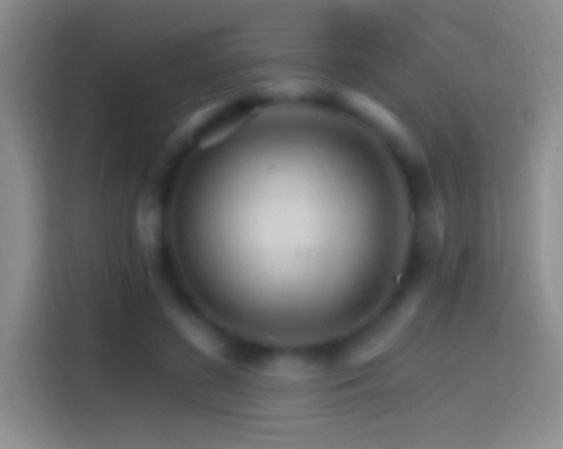 X0000114400596200910231111